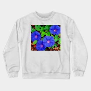 Quartet Crewneck Sweatshirt